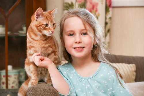 ����ɯ������è�䡣