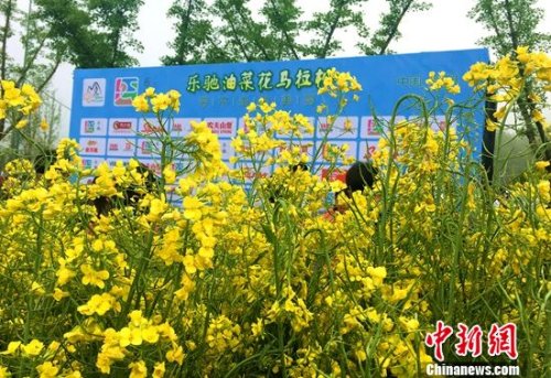 ������ɫ�ġ��Ͳ˻������ɡ�