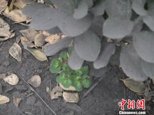 ·�ߵĻ��������ǡ���ͷ���桱�������� ��