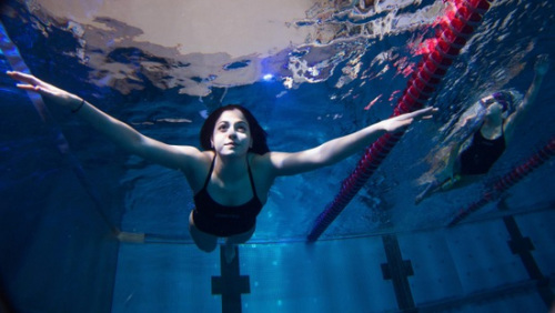 ��������Ӿ