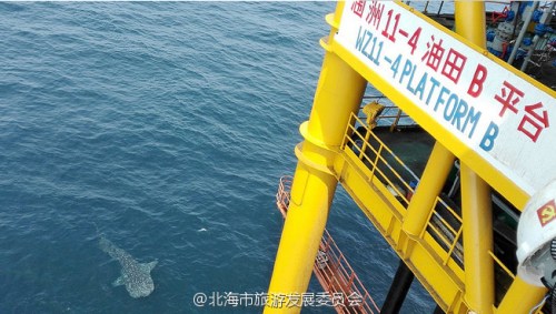 ͼƬ���Ա��������η�չίԱ��ٷ�΢�� 
