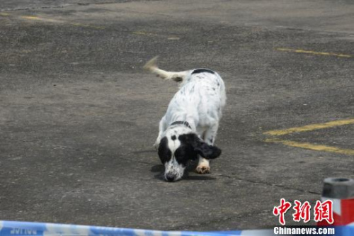 ��ȮѪ������ ������ͼ ��