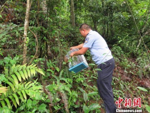 ͼΪɭ�ֹ�����ѡ�����˷������ĵط����� �ν��� ��