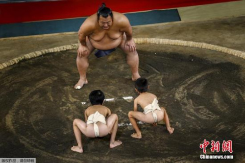 资料图:男童对阵相扑手 资料图:男童对阵相扑手