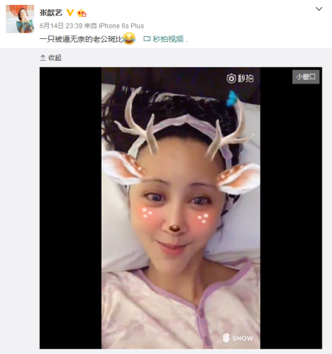 张歆艺变身小鹿斑比。 张歆艺变身小鹿斑比。