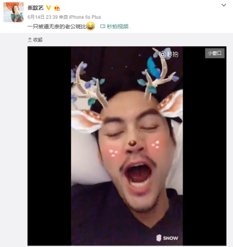 袁弘无奈打哈欠。 袁弘无奈打哈欠。