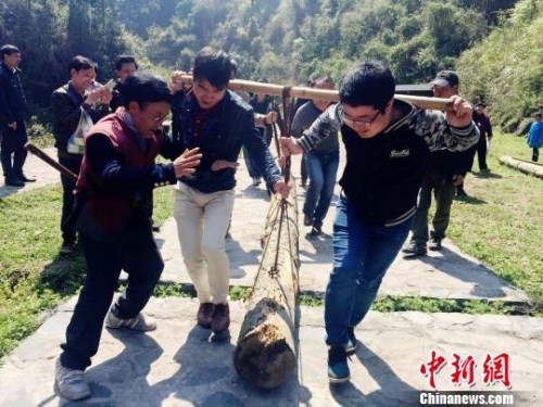 资料图:游客体验抬盘木艰难前行。 刘着之 摄 资料图:游客体验抬盘木艰难前行。 刘着之 摄