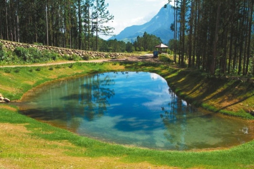 ��ѧ�ء�������(ͼ)����Ϫͷ�������㡣 ̨��ʵ������ͼ