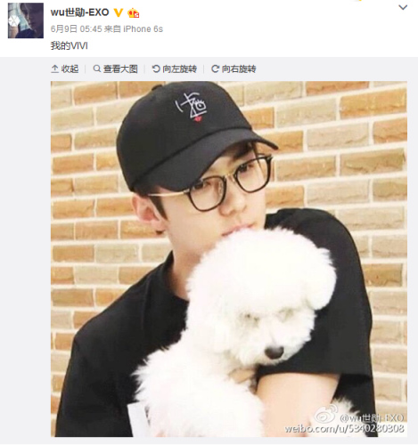 ����ѫ΢����ͼ��