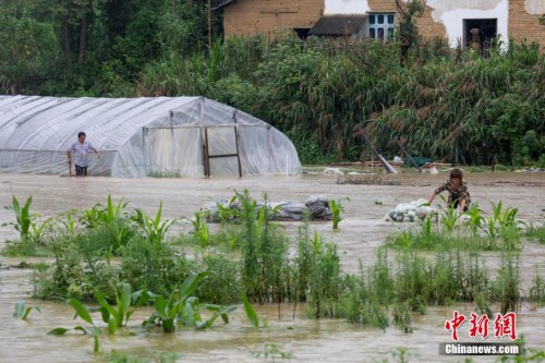 资料图:7月3日,在江西武宁县清江乡,暴雨导致山洪暴发,洪水浸没了大片农田、道路和村庄。 蒋德先 摄 资料图:7月3日,在江西武宁县清江乡,暴雨导致山洪暴发,洪水浸没了大片农田、道路和村庄。 蒋德先 摄