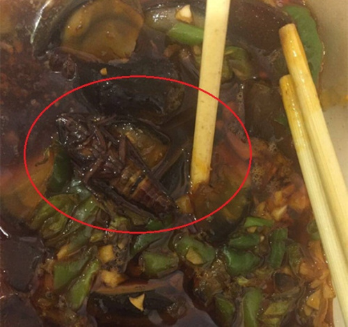 刘女士在外卖里吃出了蟑螂。来源:受访者供图。 刘女士在外卖里吃出了蟑螂。来源:受访者供图。