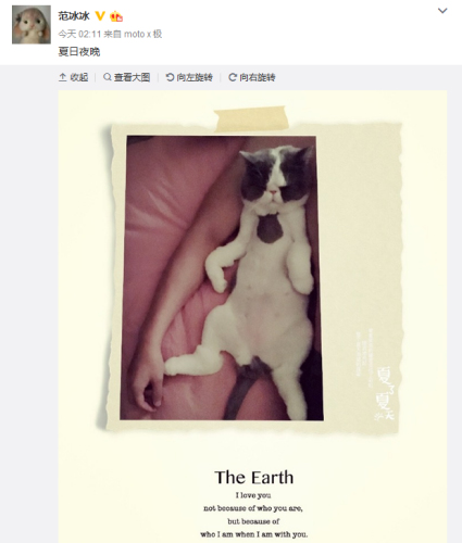 ������΢����ͼ��