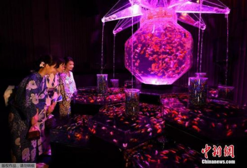 ����ͼ�����˹���