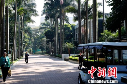 皮涅鲁斯体育俱乐部内景。<a target='_blank' href='http://www.chinanews.com/' >中新网</a>记者 富田 摄 皮涅鲁斯体育俱乐部内景。<a target='_blank' href='http://www.chinanews.com/' >中新网</a>记者 富田 摄