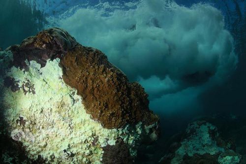 ͼΪɺ���׻�״����̨�塰�����硱���߹��Ƭu��Ӱ