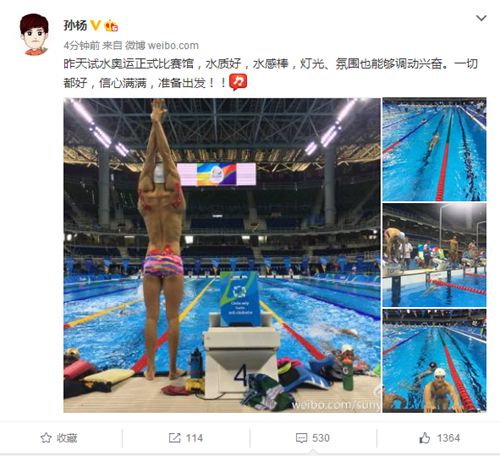 孙杨微博截图 孙杨微博截图