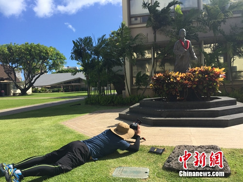 ����������IolaniѧУ������ɽ����