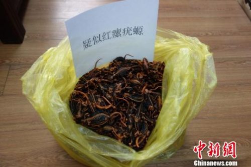 ͼΪ���Ҷ�����������������Ʒ�������� ��