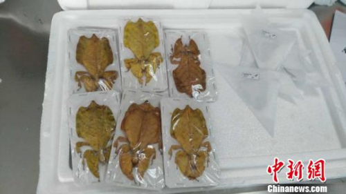 �����ػ�������ɱ��뾳����걾 ����ͼ ��