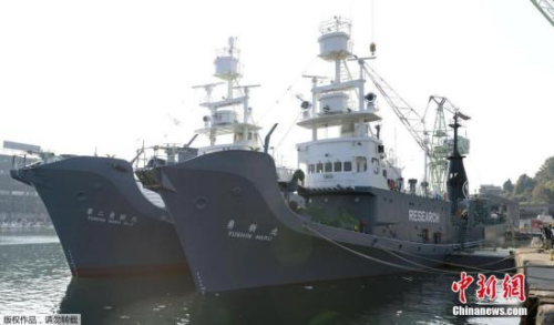 ����ͼ���ձ�������