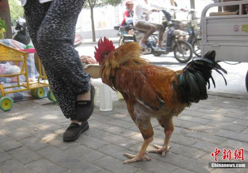 ����ͼ������