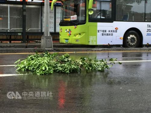 台湾气象部门观测,9月27日清晨5时,中度台风“鲇鱼”暴风圈已接触台湾东部陆地。图为台北街头路树断枝吹到路上 。台湾“中央社”记者张铭坤摄 台湾气象部门观测,9月27日清晨5时,中度台风“鲇鱼”暴风圈已接触台湾东部陆地。图为台北街头路树断枝吹到路上 。台湾“中央社”记者张铭坤摄