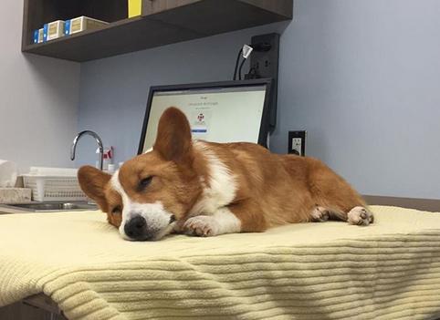 ͼƬ��Դ�����(Loki)�����罻�����˻�