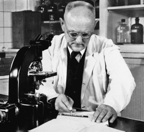 �¹���ѧ�Ҹ����•�����ˡ�