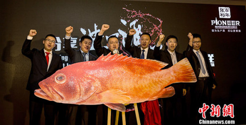 ��ԣ��˾���¡����ܾ����｡����ԣ���������Ѿ��г�������һ����쾭���̡������㡱