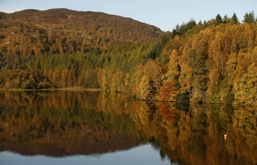 苏格兰秋景。(图片来源:路透社) 苏格兰秋景。(图片来源:路透社)