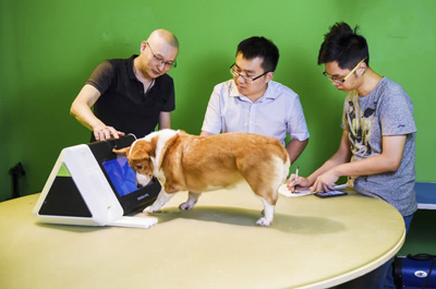 近日姜伟(左)与团队成员在公司的实验室查看狗试用电脑的情况。新华社记者 毛思倩摄 近日姜伟(左)与团队成员在公司的实验室查看狗试用电脑的情况。新华社记者 毛思倩摄