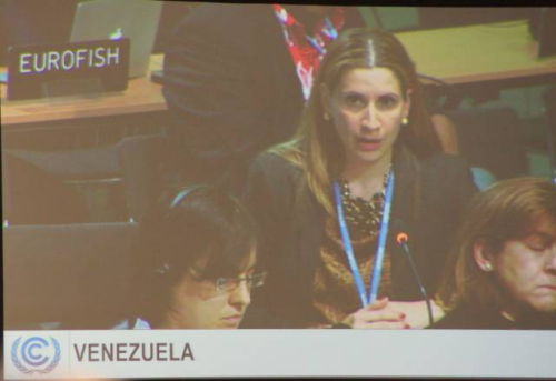 委内瑞拉美女谈判代表克劳迪娅·萨勒诺在气候谈判全会上发言。<a target='_blank' href='http://www.chinanews.com/'>中新社</a>周锐 摄。 委内瑞拉美女谈判代表克劳迪娅·萨勒诺在气候谈判全会上发言。<a target='_blank' href='http://www.chinanews.com/'>中新社</a>周锐 摄。