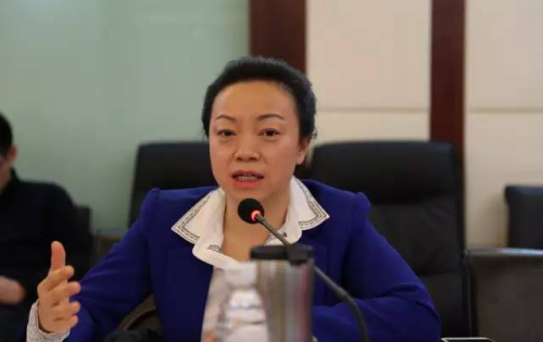 图为贸促会研究院国际贸易研究部主任赵萍。<a target='_blank' href='http://www.chinanews.com/'>中新社</a>记者 夏宾 摄 图为贸促会研究院国际贸易研究部主任赵萍。<a target='_blank' href='http://www.chinanews.com/'>中新社</a>记者 夏宾 摄