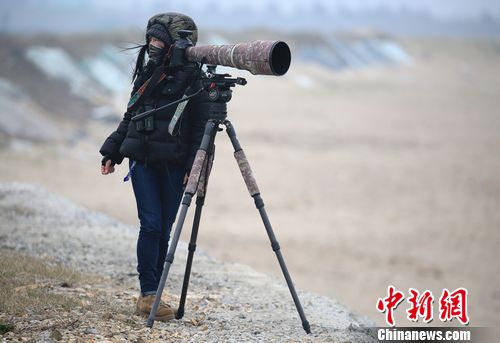 ��Ө������