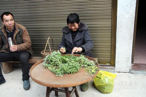 �µ����ͷ�İ��� �й����������� ţ������