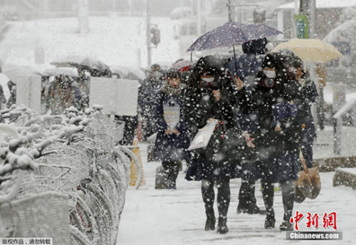 在日本名古屋,学生们顶着大雪参加高考。 在日本名古屋,学生们顶着大雪参加高考。