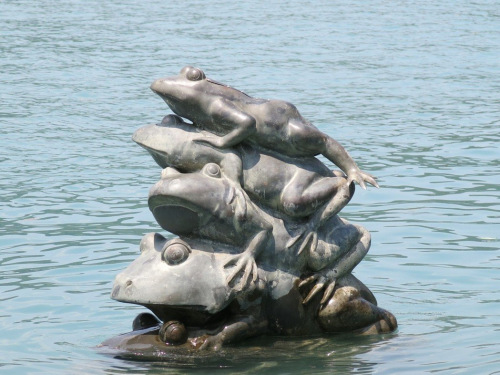 9只青蛙只曾在2015年全部露出来,当时低水位是745米;6日露出4只半为例