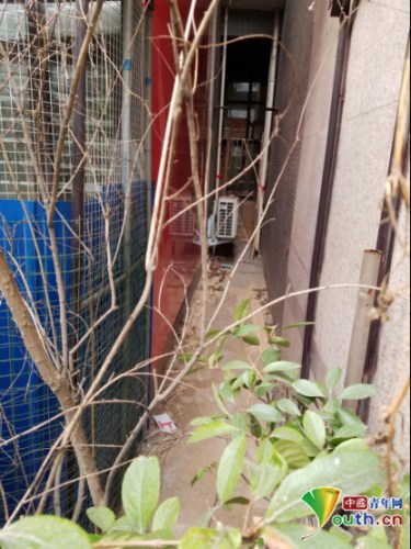 女青年杨某坠亡地方。中国青年网记者 张瑞宇摄 女青年杨某坠亡地方。中国青年网记者 张瑞宇摄