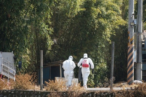 ������������һ�����ݳ�������ֻ���������������2��19����ǰ������������̨�塶���ϱ������߳����أ���Ӱ