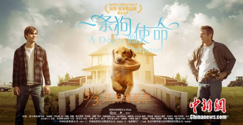 ��һ������ʹ��������