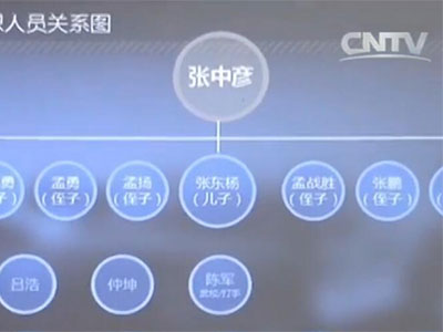 张中彦团伙部分成员 张中彦团伙部分成员