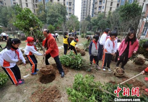福州仓山区第五中心小学的师生和志愿者在校园开展植树活动。 张斌 摄 福州仓山区第五中心小学的师生和志愿者在校园开展植树活动。 张斌 摄