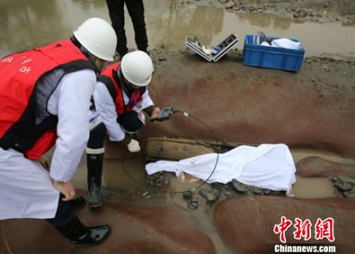 考古人员正在现场勘查。 钟欣 摄 考古人员正在现场勘查。 钟欣 摄