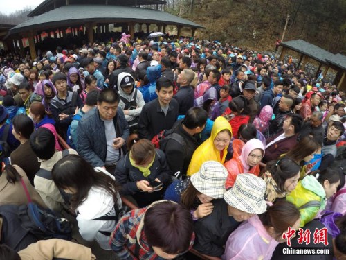 4月3日,清明小长假,河南老君山迎来大批游客,人气爆棚。 <a target='_blank' href='http://www.chinanews.com/'>中新社</a>记者 王中举 摄 4月3日,清明小长假,河南老君山迎来大批游客,人气爆棚。 <a target='_blank' href='http://www.chinanews.com/'>中新社</a>记者 王中举 摄
