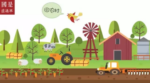 国是直通车 储倩 制图 国是直通车 储倩 制图