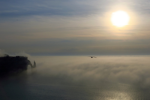 浓雾中的“象鼻山”。(图片来源:路透社) 浓雾中的“象鼻山”。(图片来源:路透社)