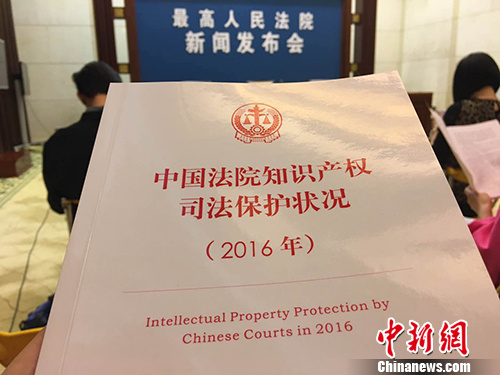 汤琪 摄 汤琪 摄