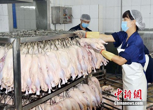 ���Ϸ�Ա��������ϴ��Ѽ