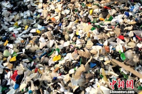 资料图:洋垃圾 。 王琳 摄 资料图:洋垃圾 。 王琳 摄