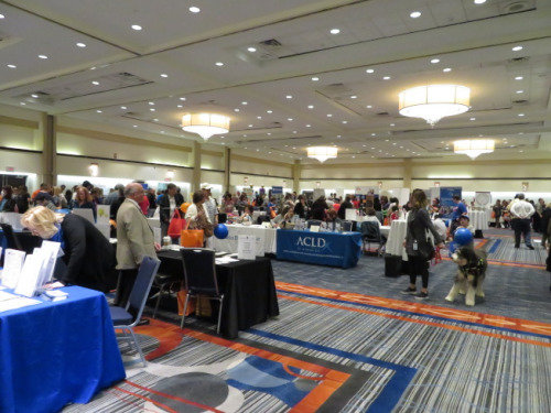 �����쳤����������������У�ǧ����ע����Ⱥ�������ǰ���˽���Ϣ���������������ձ���/��С�� �㣩